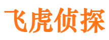 费县市调查公司